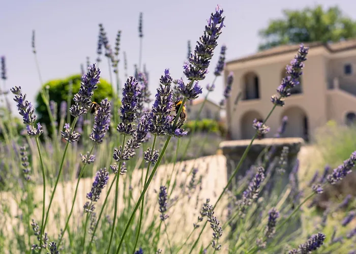 Bed & Breakfast Ayma Passo di Mirabella